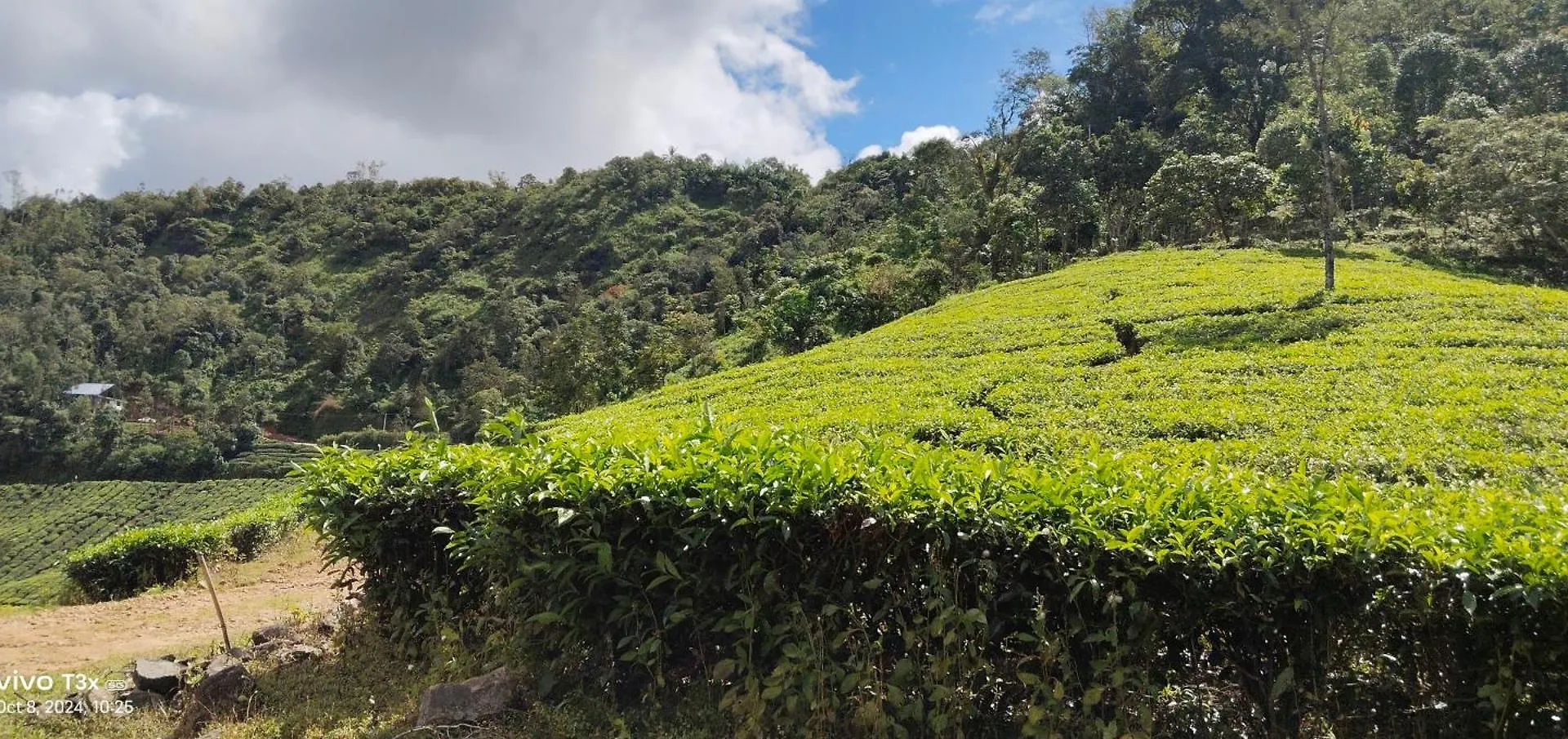 Cardmomrock Homestay Vagamon India