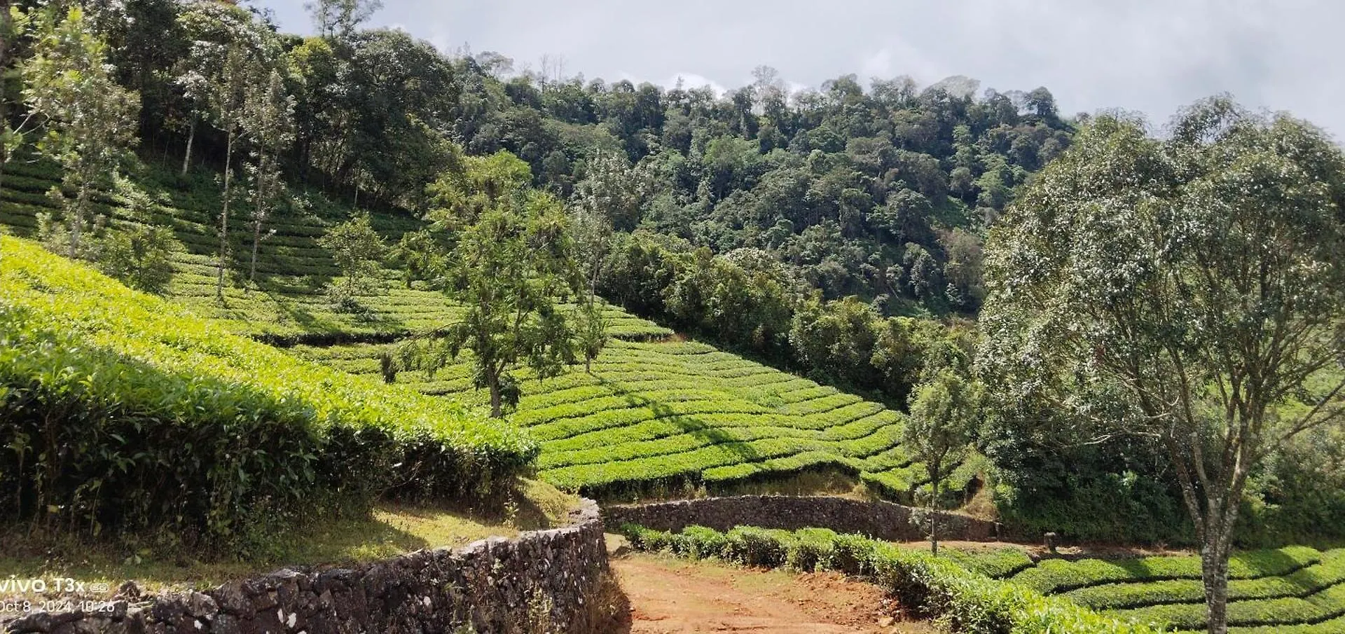 Cardmomrock Homestay Vagamon 0*,  India