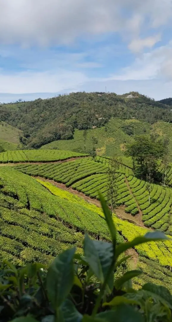 Cardmomrock Homestay Vagamon 0*,
