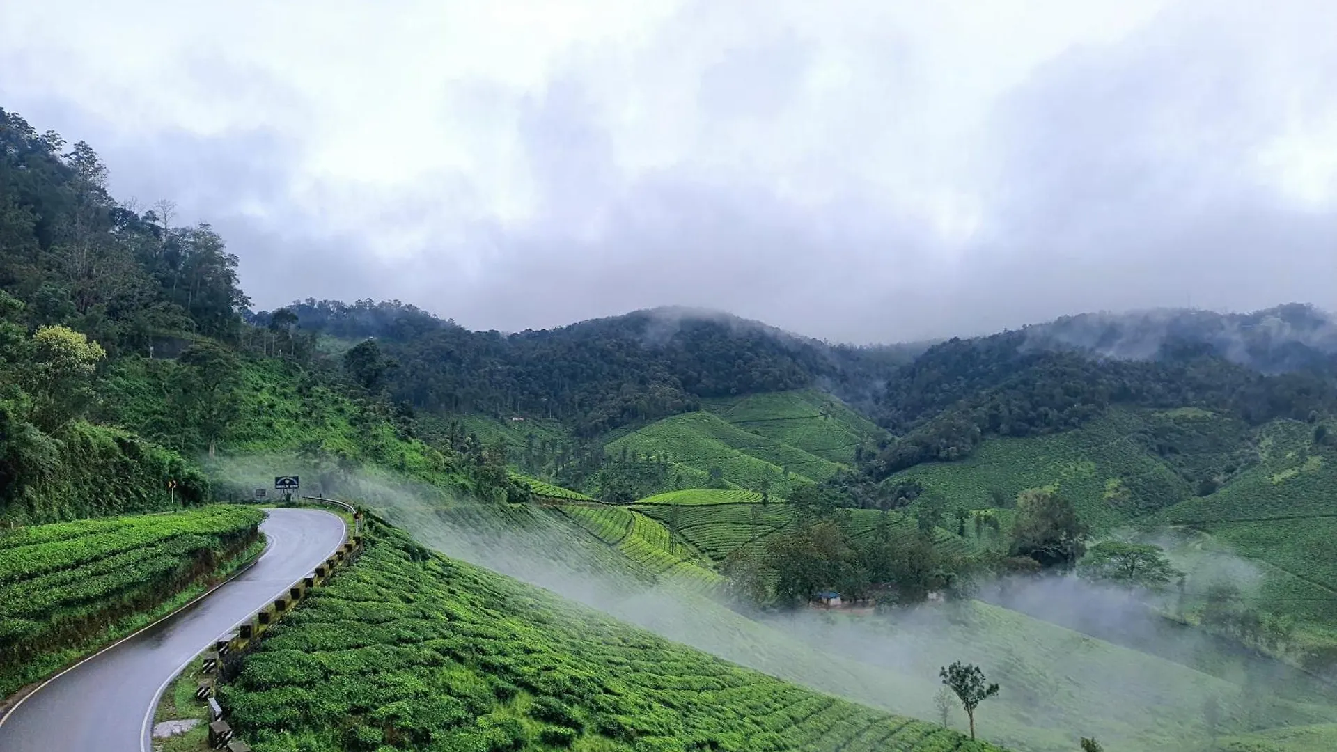 Cardmomrock Homestay Vagamon